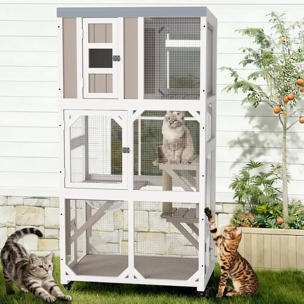 Cat Scratching Post - 바퀴 달린 야외 고양이 집, 창문,