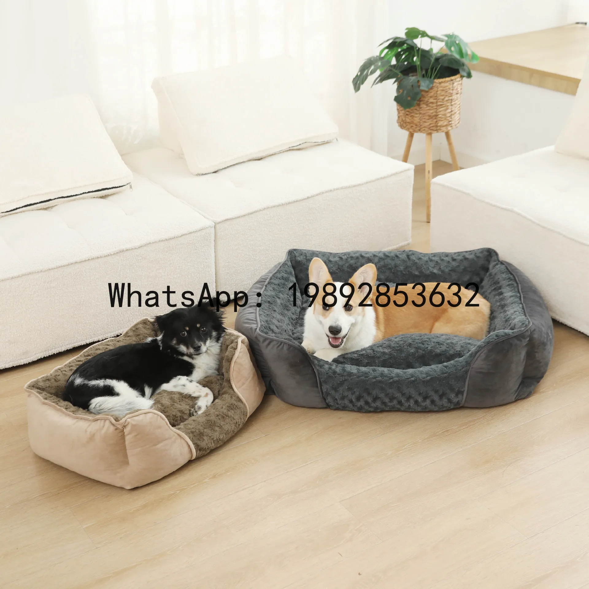 Pet X Supplies & Tack Photos - X 고양이 집 반폐쇄형 개집 사계절