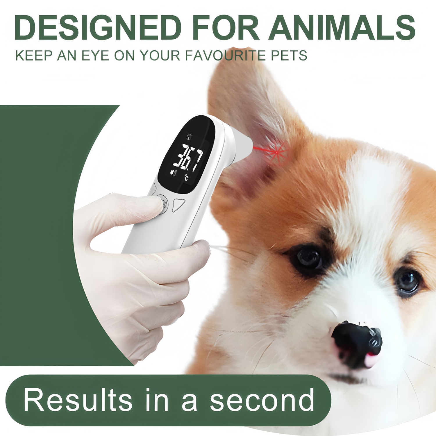 애완동물 귀 디지털 체온계, 비접촉식 전자 온도 측정기 - Pet Supplies Nz 리뷰 및 가격