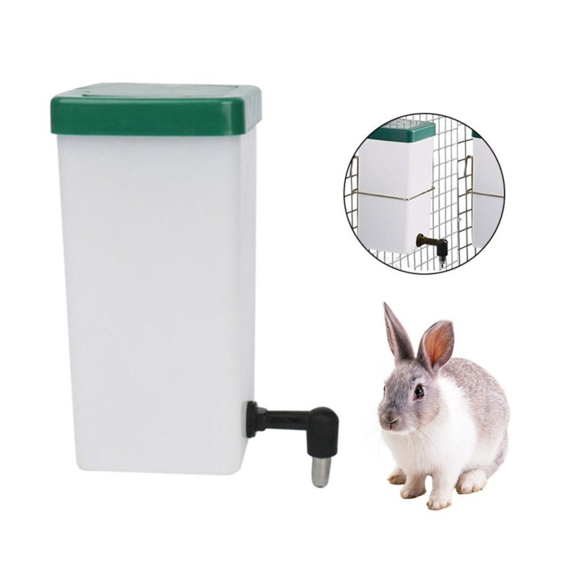 애완동물 물병 급수기 걸이형 애완견 기니피그 다람쥐 토 - Pet Supplies Nz 리뷰 및 가격