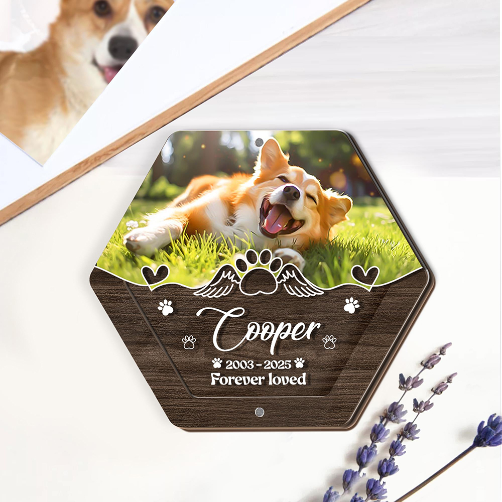 맞춤형 이름 나무 조각 애완 동물 털 보관함 애완 용품 - Pet Supplies Nz 리뷰 및 가격