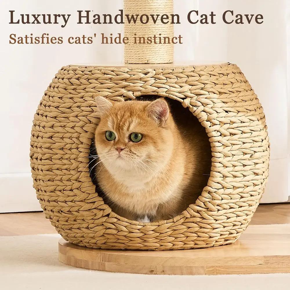 30인치 원목 캣타워, 라탄 침대, 동굴, 플러시 침대 - Cat Scratching Post 리뷰 및 가격
