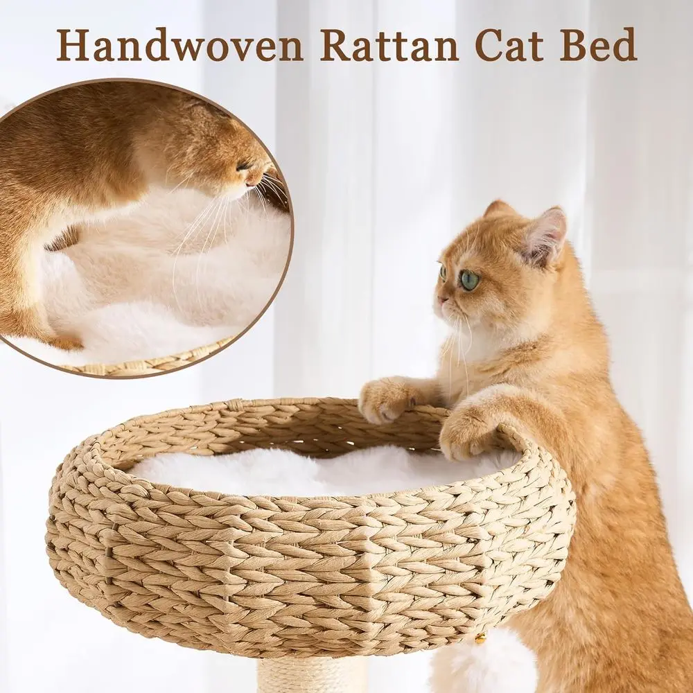 30인치 원목 캣타워, 라탄 침대, 동굴, 플러시 침대 - Cat Scratching Post 리뷰 및 가격