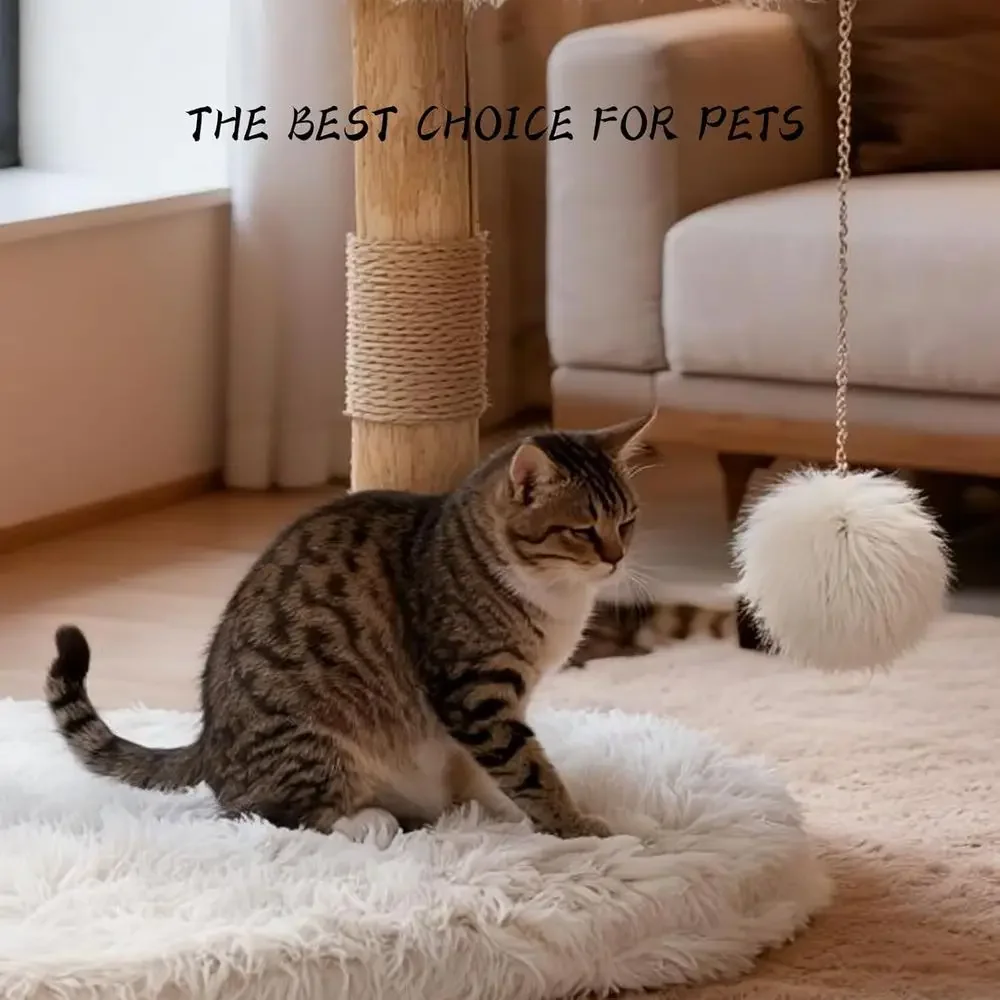 실내 고양이 나무 타워, 천연 나무 가지, 사이잘 스크 - Cat Scratching Post 리뷰 및 가격