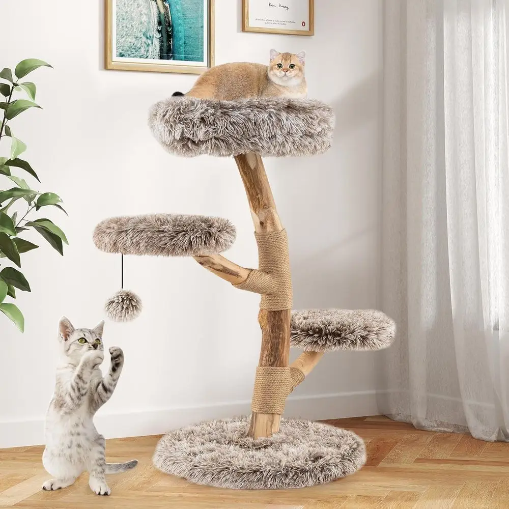다층형 원목 캣타워 (스크래칭 포스트, 아늑한 펄치,  - Cat Scratching Post 리뷰 및 가격