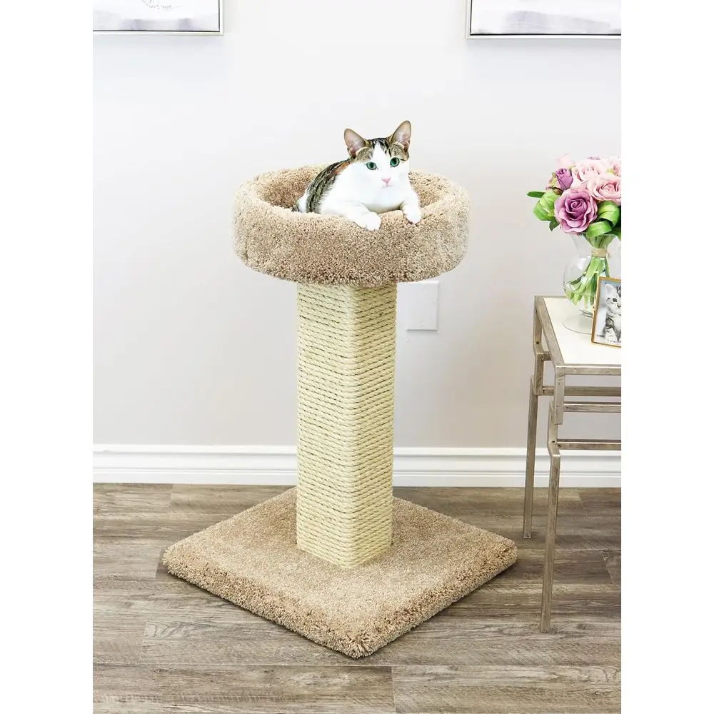 대형 원목 고양이 스크래칭 포스트(침대 포함), 브라운 - Cat Scratching Post 리뷰 및 가격