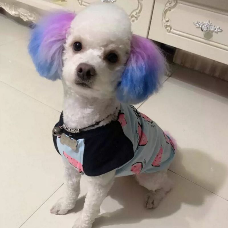 반려동물 염료 크림, 반영구 고색소, 컬러풀한 개 털, - Pet Supplies Nz 리뷰 및 가격