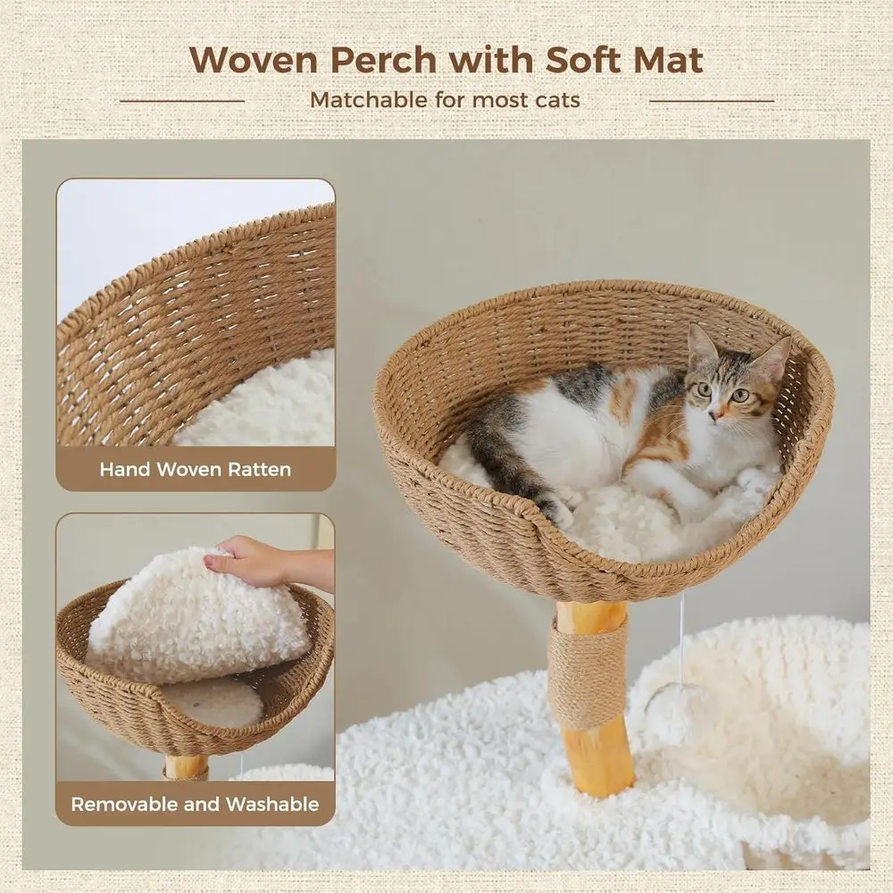 48.5인치 높이의 원목 캣타워, 고급 콘도, 해먹,  - Cat Scratching Post 리뷰 및 가격