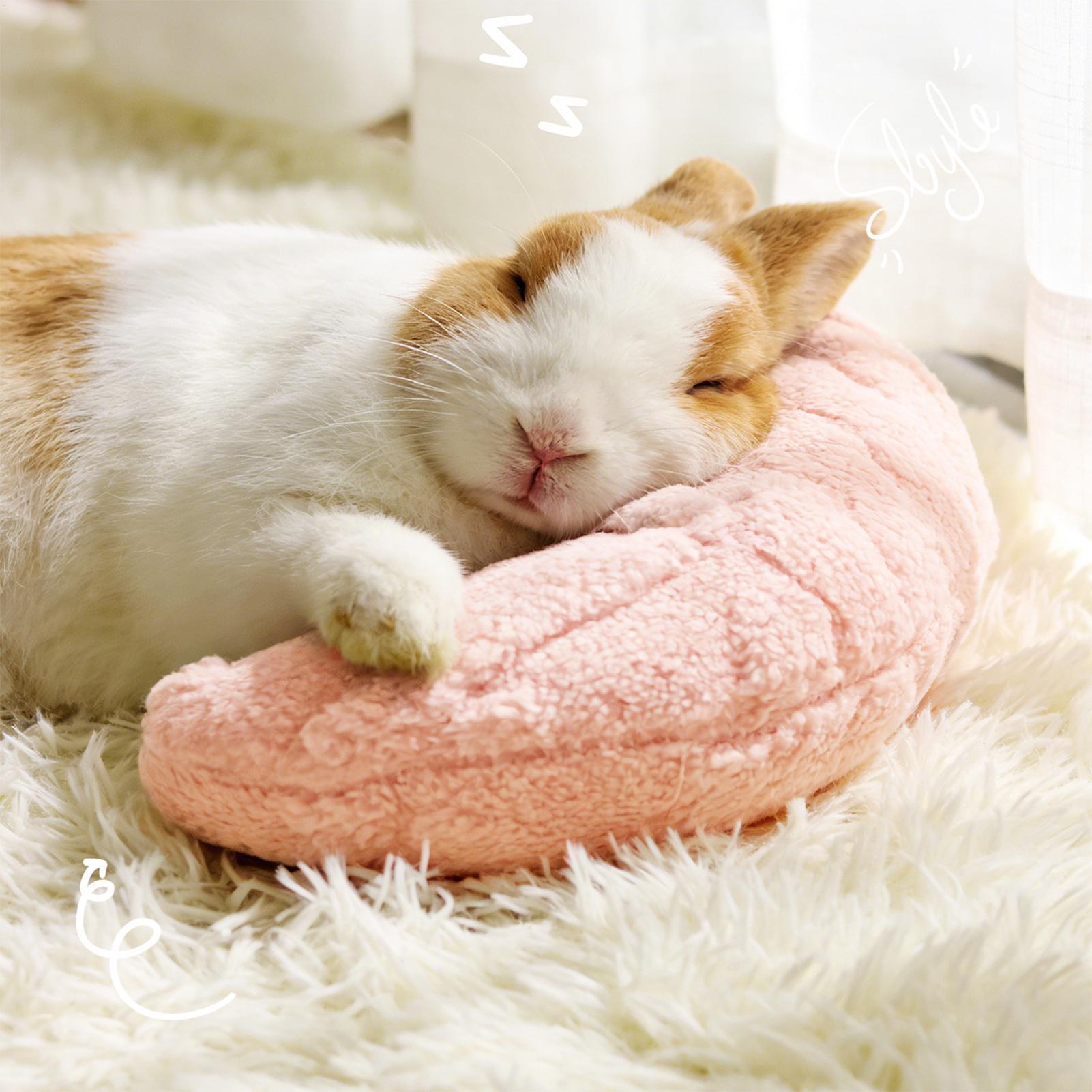 반려동물 작은 베개 패션 목 보호대 숙면 강아지 고양이 - Pet Supplies Nz 리뷰 및 가격